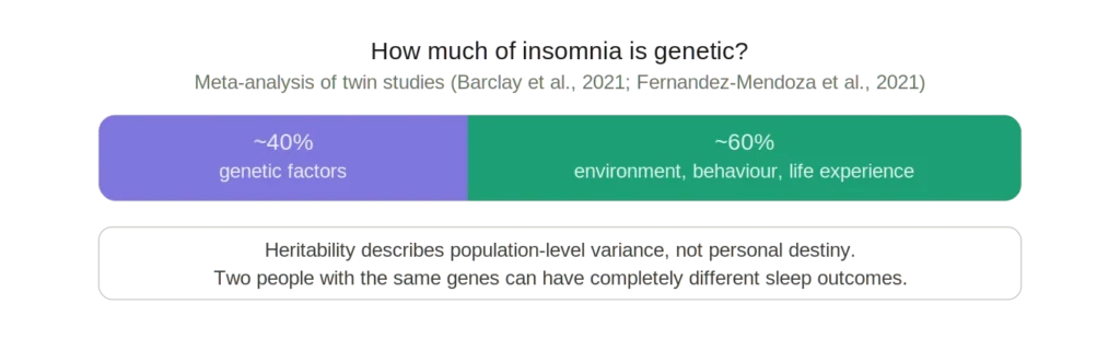 Infographic 1 — Heritability bar Horizontal bar chart showing that approximately 40% of insomnia risk is explained by genetic factors and 60% by environment, behaviour, and life experience, based on twin study meta-analyses by Barclay et al. and Fernandez-Mendoza et al. (2021). A callout notes that heritability describes population-level variance, not personal destiny.